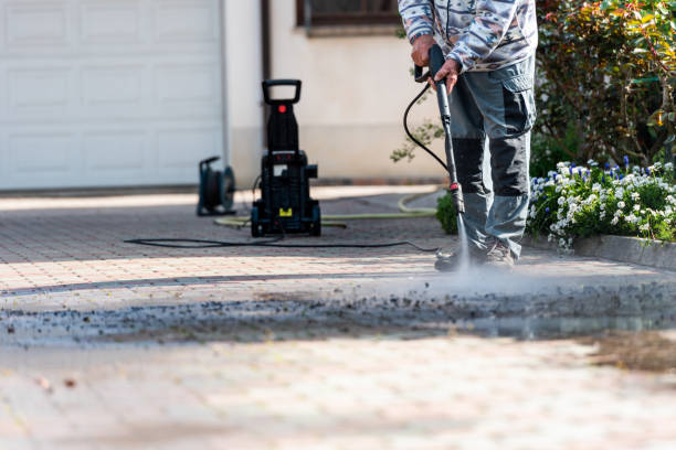 Best Roof Power Washing Services  in Bayboro, NC