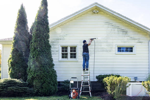 Why Choose Our Certified Pressure Washing Experts for Your Project Needs in Bayboro, NC?