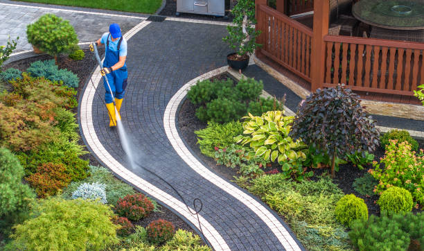 Best Commercial Building Pressure Washing  in Bayboro, NC