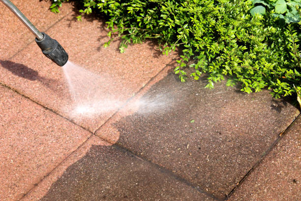 Local Pressure Washing Services in Bayboro, NC